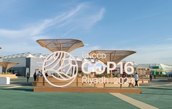 深圳williamhill在第十六届《联合国防治荒漠化公约》缔约方大会倡导光伏水生态建设