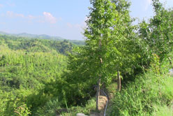 光伏扬水系统灌溉管